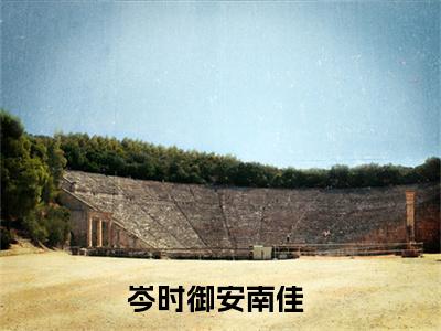 岑时御安南佳小说免费阅读无弹窗-岑时御安南佳（岑时御安南佳）小说免费阅读无弹窗大结局