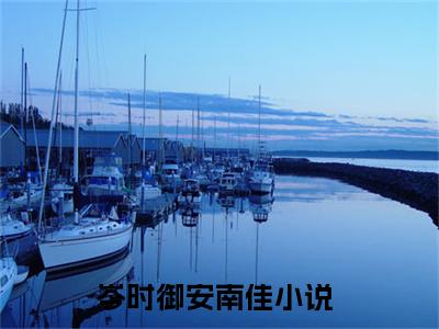 岑时御安南佳（岑时御安南佳)全文免费阅读无弹窗大结局_岑时御安南佳全文免费阅读_笔趣阁（岑时御安南佳）