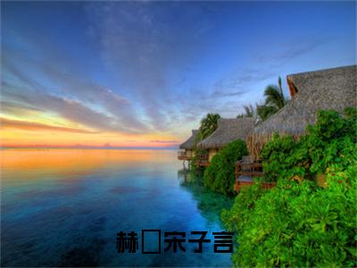 赫婻宋子言小说叫什么名字（赫婻宋子言）完整版大结局-赫婻宋子言小说在线阅读