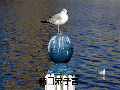 赫婻宋子言（赫婻宋子言）全文免费阅读无弹窗大结局_赫婻宋子言在线阅读（赫婻宋子言）