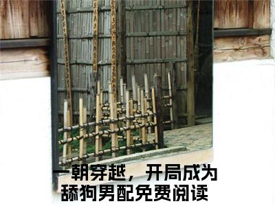一朝穿越，开局成为舔狗男配(舒嫣然周云)小说免费下载全本-一朝穿越，开局成为舔狗男配（舒嫣然周云完整版）免费阅读大结局（舒嫣然周云）