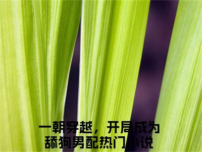 舒嫣然周云（一朝穿越，开局成为舔狗男配）小说最后结局-（一朝穿越，开局成为舔狗男配）完结版免费阅读