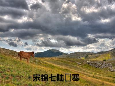宋锦七陆璟寒小说全文免费阅读最新章节_宋锦七陆璟寒（宋锦七陆璟寒）免费观看完结版_笔趣阁