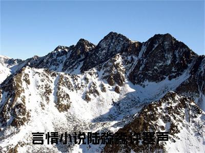 陆淼淼许寒声小说精选片段阅读-陆淼淼许寒声小说免费版最新更新阅读