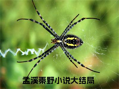 孟溪秦野免费小说-孟溪秦野全文阅读目录