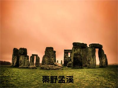 秦野孟溪小说全文免费阅读，秦野孟溪完整版