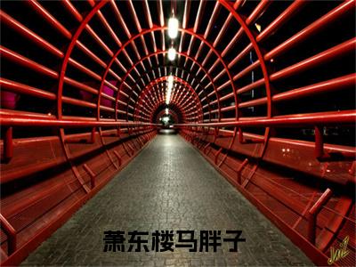 萧东楼马胖子全文免费阅读无弹窗_（萧东楼马胖子）全文在线阅读大结局