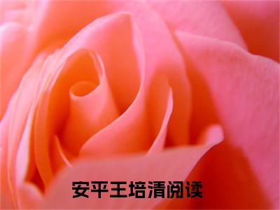 安平王培清(安平王培清)全文免费阅读无弹窗大结局_(安平王培清)免费阅读全文无弹窗_笔趣阁