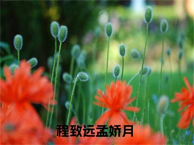 程致远孟娇月无广告小说（程致远孟娇月）全文免费阅读无弹窗大结局-程致远孟娇月在线阅读