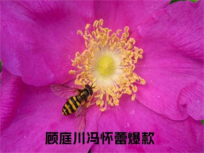 顾庭川冯怀蕾小说免费阅读-顾庭川冯怀蕾无广告全文阅读