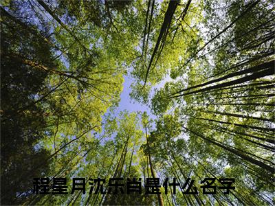 （程星月沈乐肖）程星月沈乐肖小说全文免费程星月沈乐肖读最新章节列表笔趣阁（程星月沈乐肖
