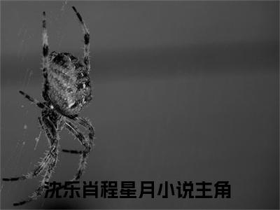 沈乐肖程星月小说最新试读_(沈乐肖程星月免费阅读最新章节列表)_笔趣阁