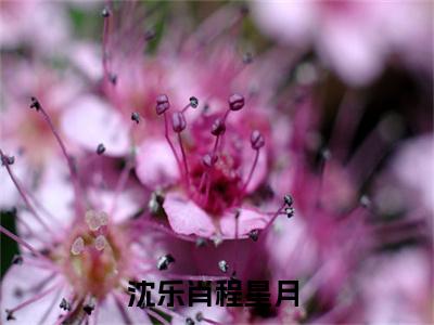 （沈乐肖程星月）沈乐肖程星月小说全文免费沈乐肖程星月读最新章节列表笔趣阁（沈乐肖程星月