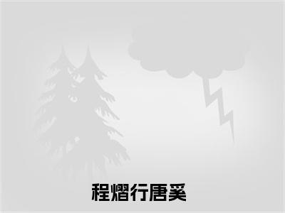 程熠行唐奚小说免费阅读-精选好书程熠行唐奚