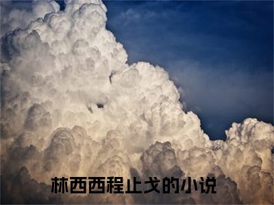 （林西西程止戈）是什么小说-林西西程止戈（林西西程止戈）免费阅读大结局最新章节列表_笔趣阁