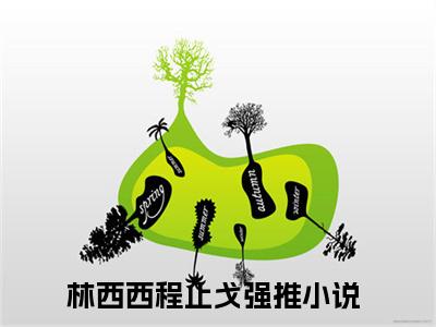 林西西程止戈知乎小说全文免费阅读_林西西程止戈知乎小说最新章节列表笔趣阁