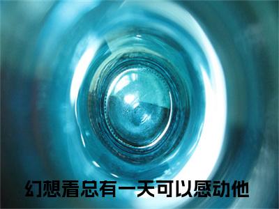 岑夏沈苏栩（幻想着总有一天可以感动他）全文免费阅读无弹窗大结局_岑夏沈苏栩最新章节列表（幻想着总有一天可以感动他）