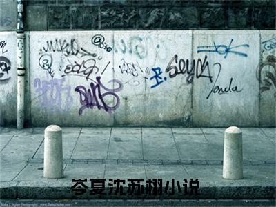幻想着总有一天可以感动他全文免费阅读无弹窗大结局_(岑夏沈苏栩阅读全文大结局)幻想着总有一天可以感动他最新章节列表（岑夏沈苏栩）