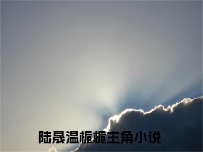 主角为陆晟温栀栀的言情小说讲的是什么-正版小说全文阅读
