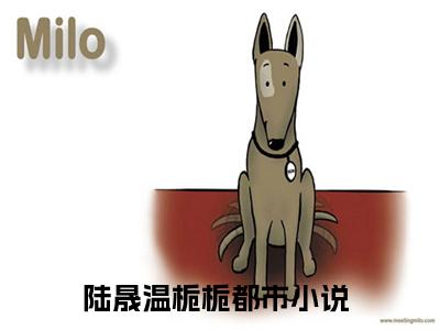 陆晟温栀栀（陆晟温栀栀）精彩热门小说_（陆晟温栀栀）最新章节列表_笔趣阁