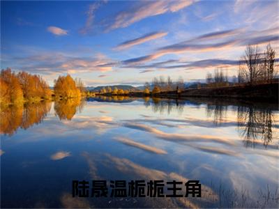 陆晟温栀栀（陆晟温栀栀小说全文）在线阅读-陆晟温栀栀全文免费阅读无弹窗大结局