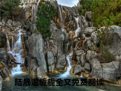 陆晟温栀栀(陆晟温栀栀)全文免费阅读无弹窗大结局_(陆晟温栀栀)小说免费阅读无弹窗最新章节列表