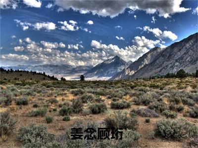 姜念顾珩全本资源（姜念顾珩）全文免费阅读无弹窗大结局_姜念顾珩最新章节列表（姜念顾珩）