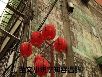宁知容温辞宝藏小说推荐宁知容温辞-宁知容温辞完整免费阅读小说