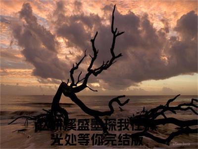 赵妍溪盛墨琛全文小说我在微光处等你免费在线分享-新书热荐免费小说我在微光处等你