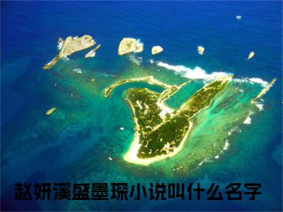 赵妍溪盛墨琛小说免费阅读我在微光处等你小说全文免费阅读_（赵妍溪盛墨琛）我在微光处等你最新章节列表笔趣阁