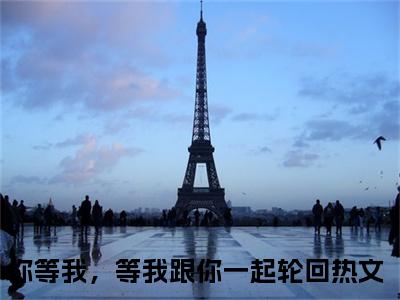 燕淇炽木澜小说全文免费阅读正版 你等我，等我跟你一起轮回免费阅读无弹窗