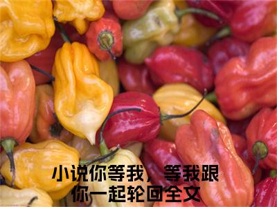 你等我，等我跟你一起轮回小说(燕淇炽木澜)全文免费阅读无弹窗大结局_(你等我，等我跟你一起轮回免费阅读全文大结局)最新章节列表_笔趣阁（燕淇炽木澜）