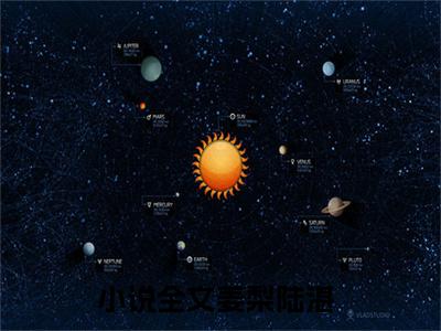 姜梨陆湛全文免费阅读无弹窗大结局_姜梨陆湛小说免费阅读