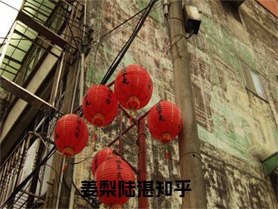 姜梨陆湛（姜梨陆湛）全文免费阅读无弹窗_姜梨陆湛最新小说_笔趣阁（姜梨陆湛）