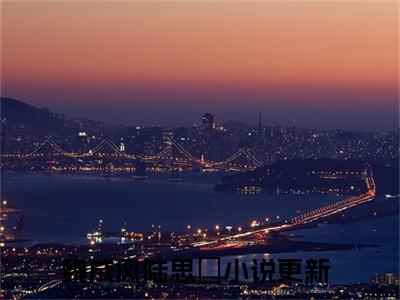 男女主人公魏成风陆思湉小说魏成风陆思湉全文免费阅读
