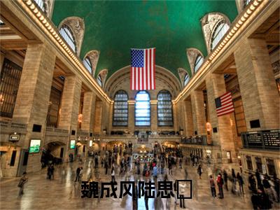魏成风陆思湉（魏成风陆思湉小说）全文免费阅读无弹窗大结局_（魏成风陆思湉阅读无弹窗）魏成风陆思湉小说章节列表_笔趣阁