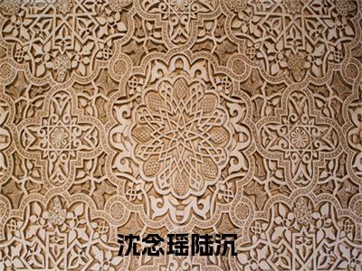沈念瑶陆沉（沈念瑶陆沉）小说全本完结版免费阅读