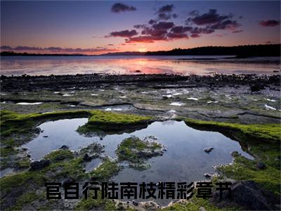 （官自行陆南枝）是什么小说_主角是（官自行陆南枝）的小说（官自行陆南枝）最新章节列表_笔趣阁