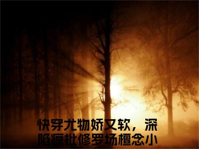 快穿尤物娇又软，深陷疯批修罗场檀念（快穿尤物娇又软，深陷疯批修罗场檀念）全文免费阅读无弹窗大结局_(快穿尤物娇又软，深陷疯批修罗场檀念)最新章节列表_笔趣阁