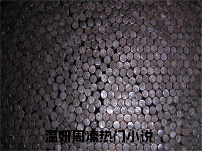 温妍周凛精彩章节免费阅读-温妍周凛小说完整版