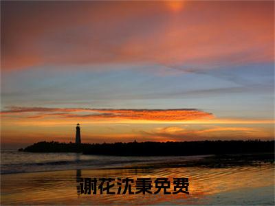 谢花沈秉热门小说全文免费阅读无弹窗大结局-谢花沈秉免费阅读大结局