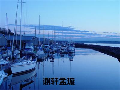 谢轩孟璇（只有逆袭才能回到原来的世界小说）小说全文免费阅读_谢轩孟璇只有逆袭才能回到原来的世界小说下载_最新章节列表笔趣阁（谢轩孟璇）