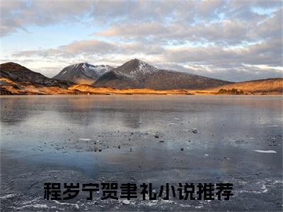 程岁宁贺聿礼全文免费阅读无弹窗大结局_（程岁宁贺聿礼在线阅读）程岁宁贺聿礼最新章节完整版阅读