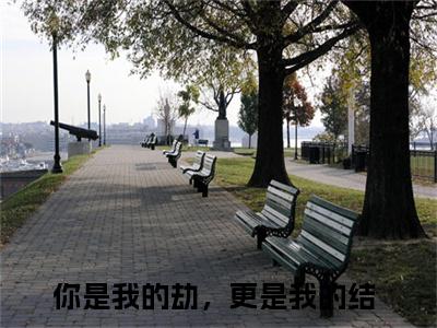 你是我的劫，更是我的结是哪部小说的主角-温栀栀陆晟（你是我的劫，更是我的结）全文无弹窗完整版阅读温栀栀陆晟