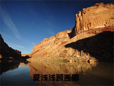 闪婚后，小娇妻被亿万总裁日日宠小说在线阅读（夏浅浅顾言卿）全文免费阅读无弹窗大结局_夏浅浅顾言卿小说免费最新章节列表_笔趣阁（闪婚后，小娇妻被亿万总裁日日宠）