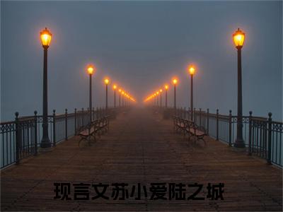 精选好书苏小爱陆之城全文免费阅读无弹窗大结局_（苏小爱陆之城）最新章节列表_笔趣阁（苏小爱陆之城小说）