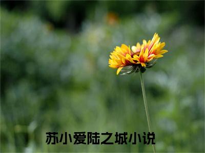 苏小爱陆之城（苏小爱陆之城）精彩热门小说无弹窗-苏小爱陆之城全文免费阅读