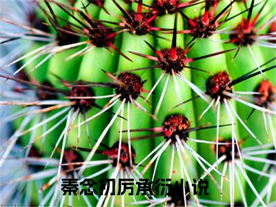 秦念初厉承衍（秦念初厉承衍）全文免费阅读无弹窗大结局_ (秦念初厉承衍小说全文免费阅读)最新章节列表_笔趣阁