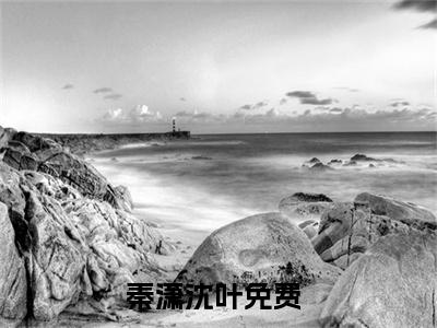 秦潇沈叶是的小说-《秦潇沈叶》完整章节阅读无弹窗免费阅读大结局