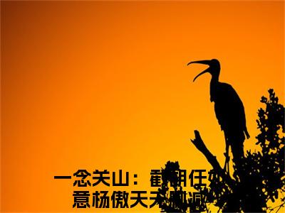 一念关山：截胡任如意杨傲天(一念关山：截胡任如意杨傲天)全文无弹窗大结局_一念关山：截胡任如意杨傲天在线阅读无弹窗最新章节列表_笔趣阁